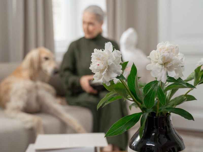 健康生活-預防糖尿-超簡單