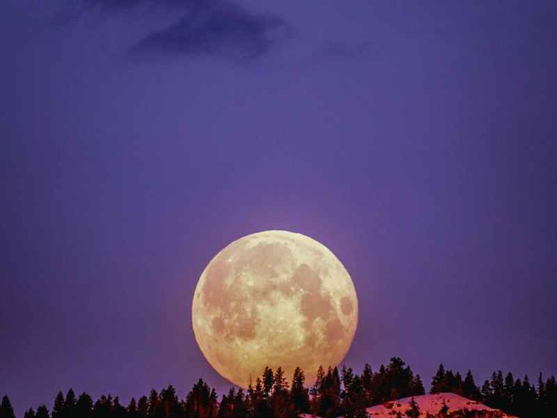 聰明吃月餅，健康過中秋