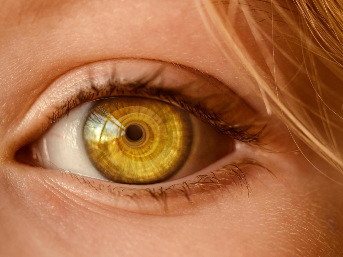 視網膜下的暗潮-淺談糖尿病對眼睛的影響